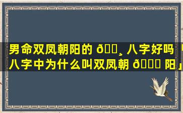 男命双凤朝阳的 🌸 八字好吗「八字中为什么叫双凤朝 🐕 阳」